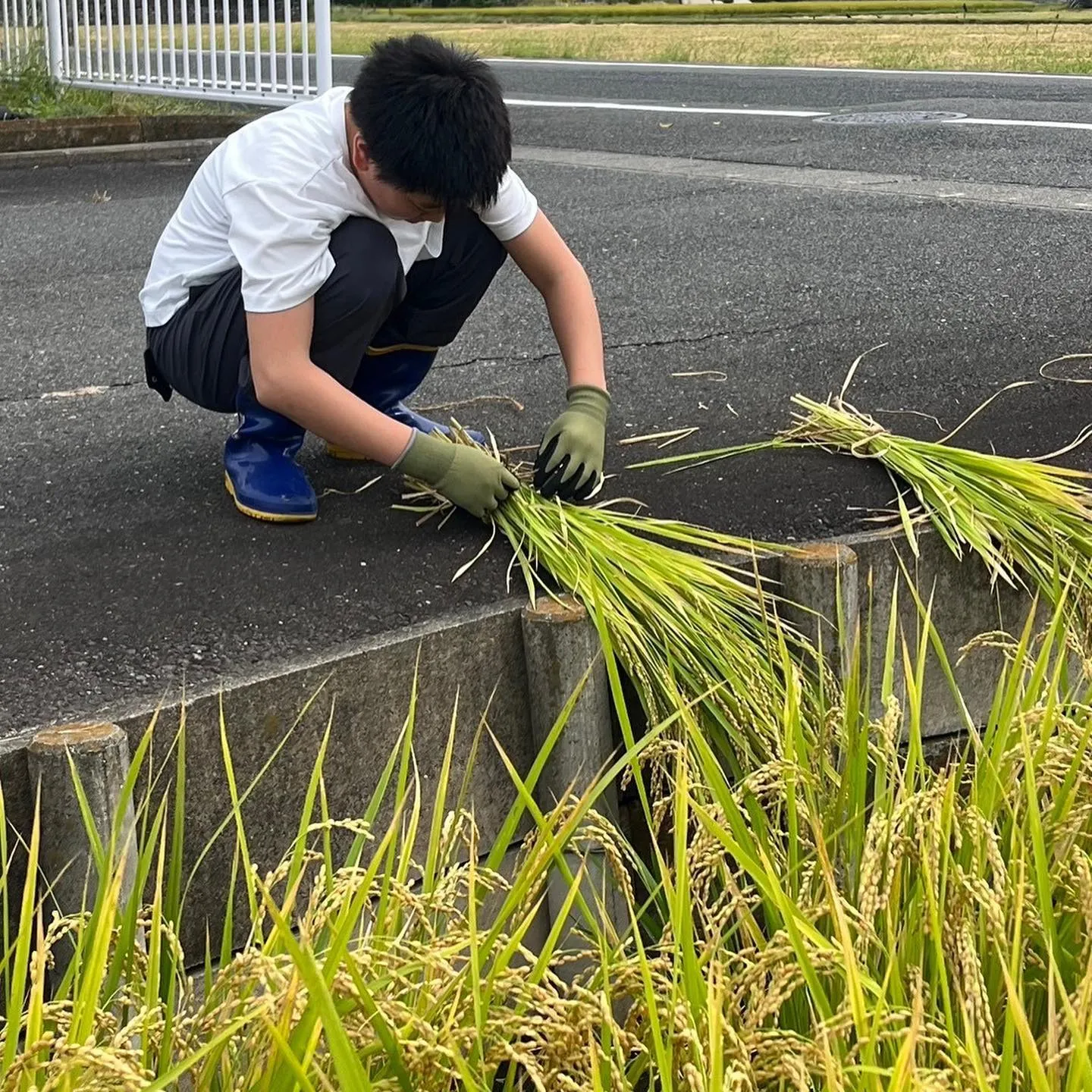 ケーニーズクラブ学童